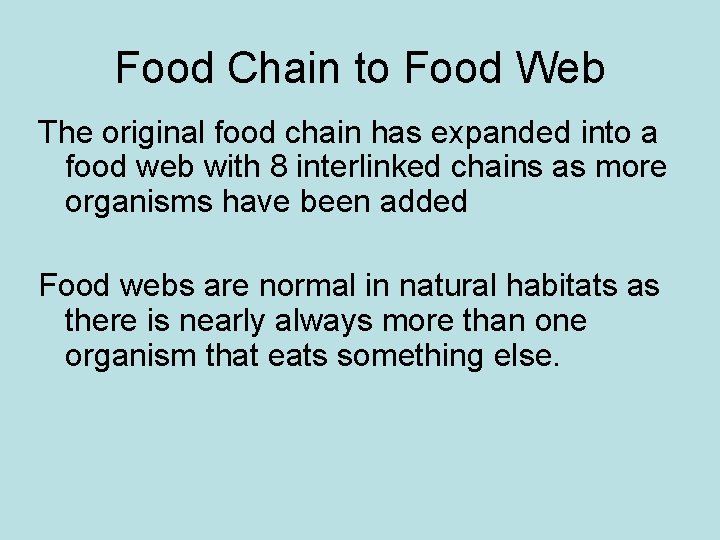 Food Chain to Food Web The original food chain has expanded into a food