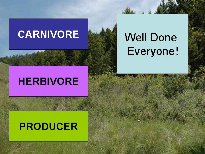 CARNIVORE HERBIVORE PRODUCER Kingfisher Oak Plankton Squirrel Daffodil Mouse Snail Fox Tree Well Done