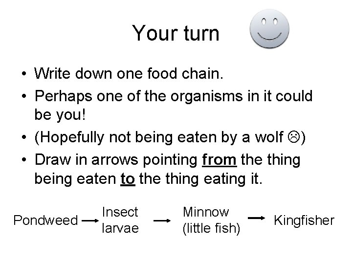 Your turn • Write down one food chain. • Perhaps one of the organisms