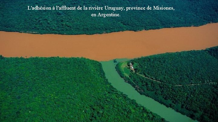 L'adhésion à l'affluent de la rivière Uruguay, province de Misiones, en Argentine. L'adhésion à l'affluent de la rivière Uruguay, province de Misiones, en Argentine.
