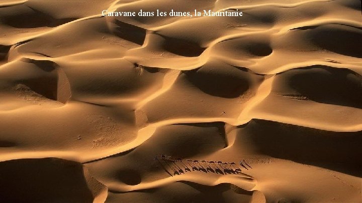 Caravane dans les dunes, la Mauritanie 
