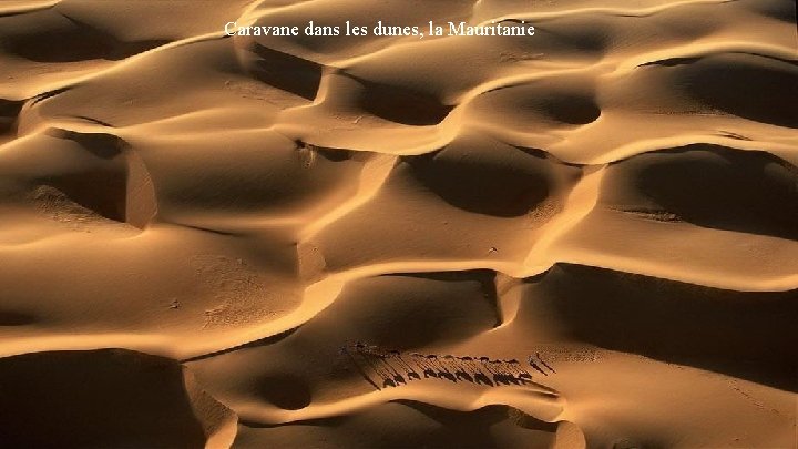 Caravane dans les dunes, la Mauritanie Caravane dans les dunes, la Mauritanie