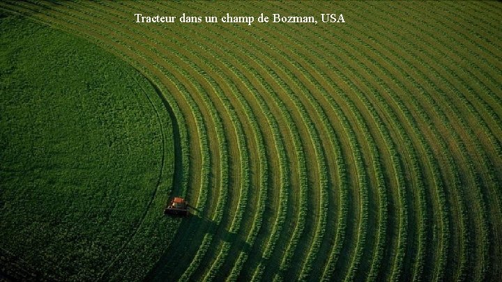 Tracteur dans un champ de Bozman, USA 