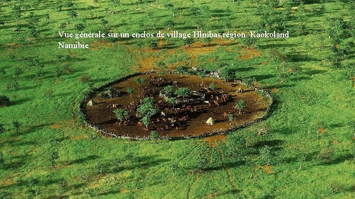 Vue générale sur un enclos de village Hlmbas région Kaokoland Namibie 