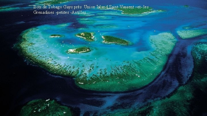 Ilots de Tobago Gays près Union Island Saint Vincent –et- les Grenadines -petites -Antilles Ilots de Tobago Gays près Union Island Saint Vincent –et- les Grenadines -petites -Antilles
