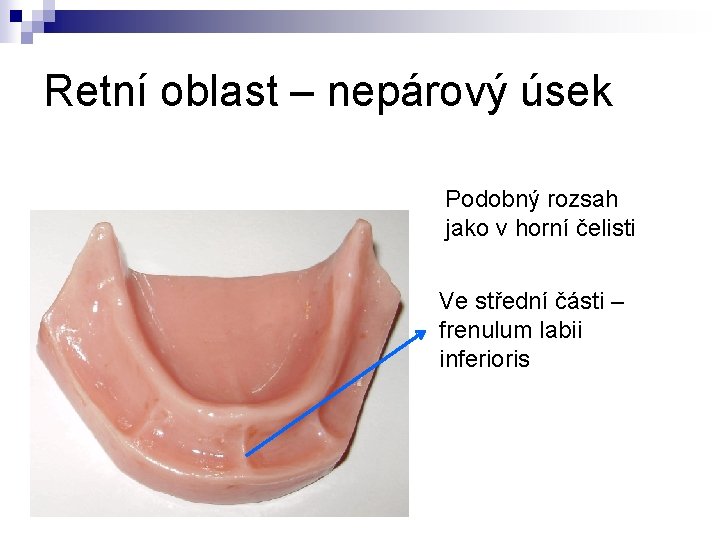 Retní oblast – nepárový úsek Podobný rozsah jako v horní čelisti Ve střední části