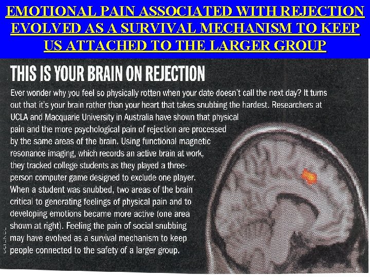 EMOTIONAL PAIN ASSOCIATED WITH REJECTION EVOLVED AS A SURVIVAL MECHANISM TO KEEP US ATTACHED
