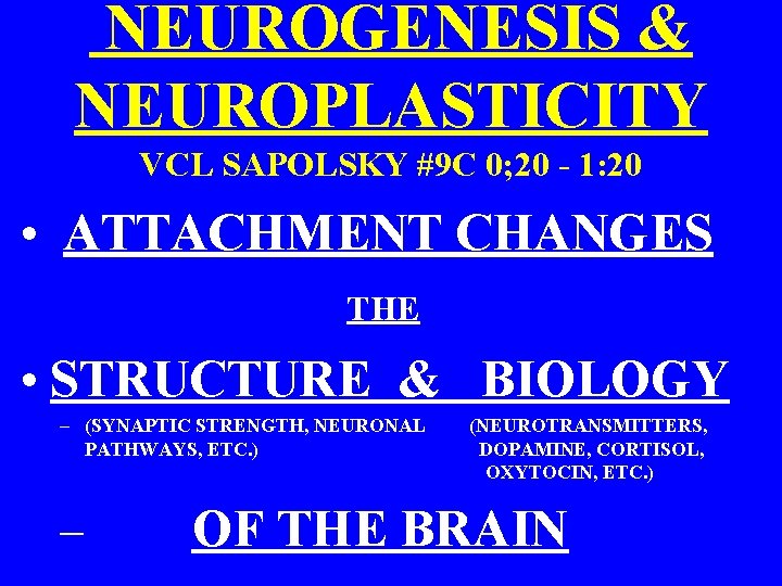  NEUROGENESIS & NEUROPLASTICITY VCL SAPOLSKY #9 C 0; 20 - 1: 20 •