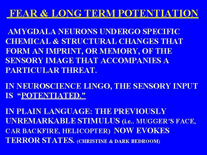  FEAR & LONG TERM POTENTIATION AMYGDALA NEURONS UNDERGO SPECIFIC CHEMICAL & STRUCTURAL CHANGES