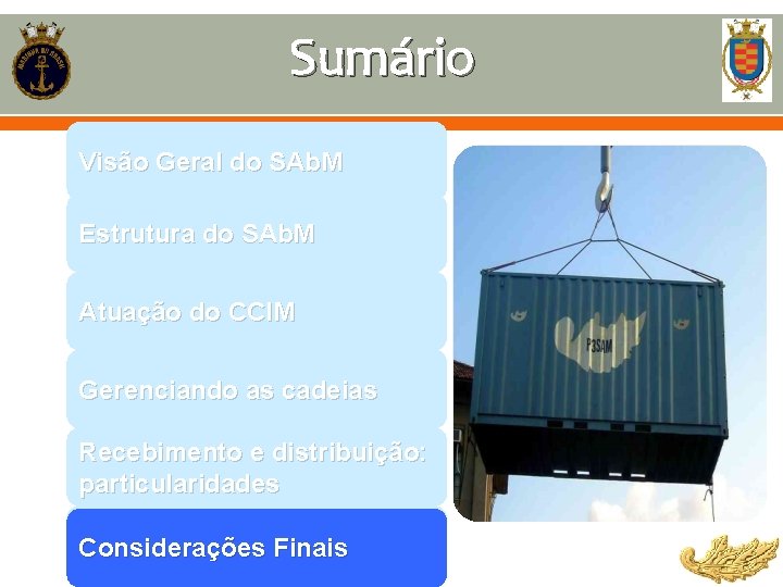 Sumário Visão Geral do SAb. M Estrutura do SAb. M Atuação do CCIM Gerenciando