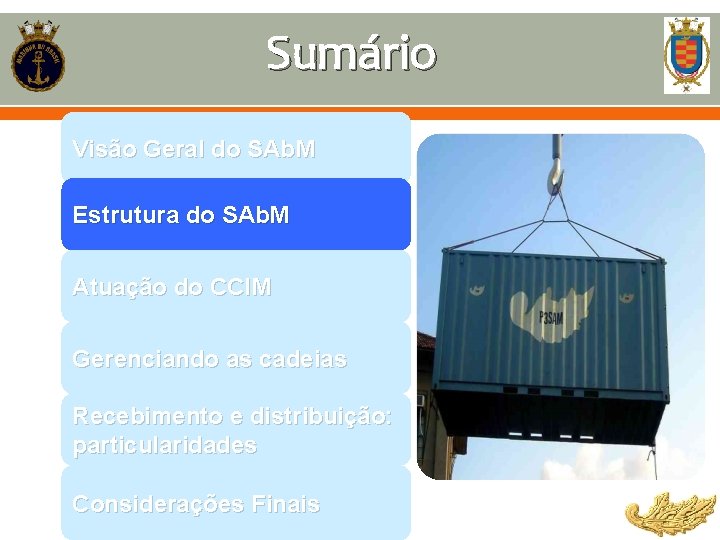 Sumário Visão Geral do SAb. M Estrutura do SAb. M Atuação do CCIM Gerenciando