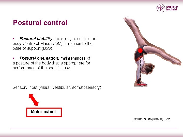 Postural control § Postural stability: the ability to control the body Centre of Mass