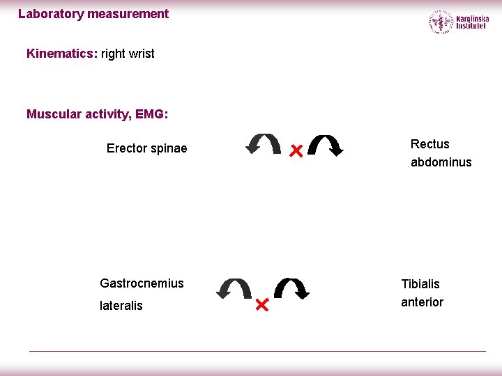 Laboratory measurement Kinematics: right wrist Muscular activity, EMG: Erector spinae Gastrocnemius lateralis Rectus abdominus