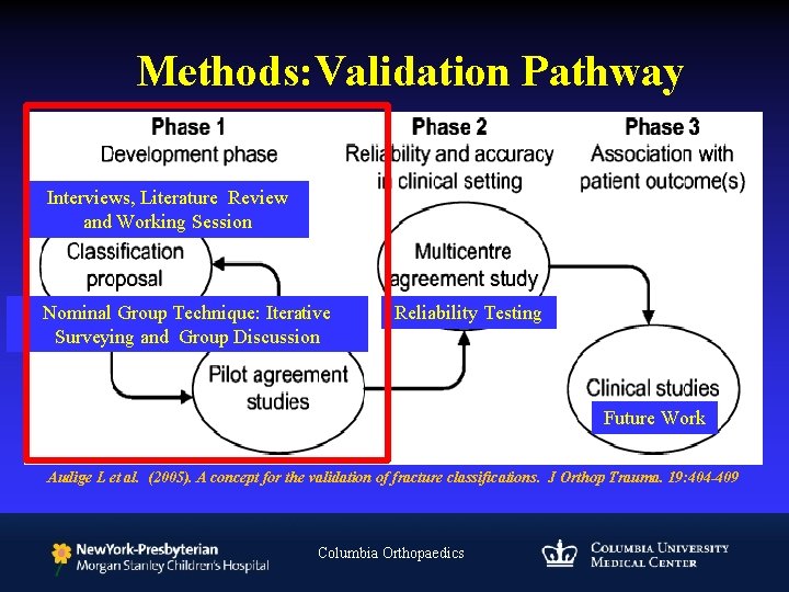 Methods: Validation Pathway Interviews, Literature Review and Working Session Nominal Group Technique: Iterative Surveying