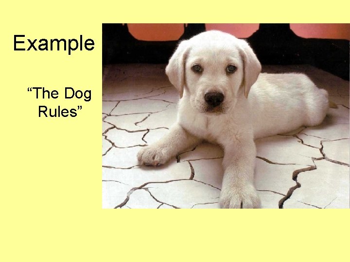 Example “The Dog Rules” 