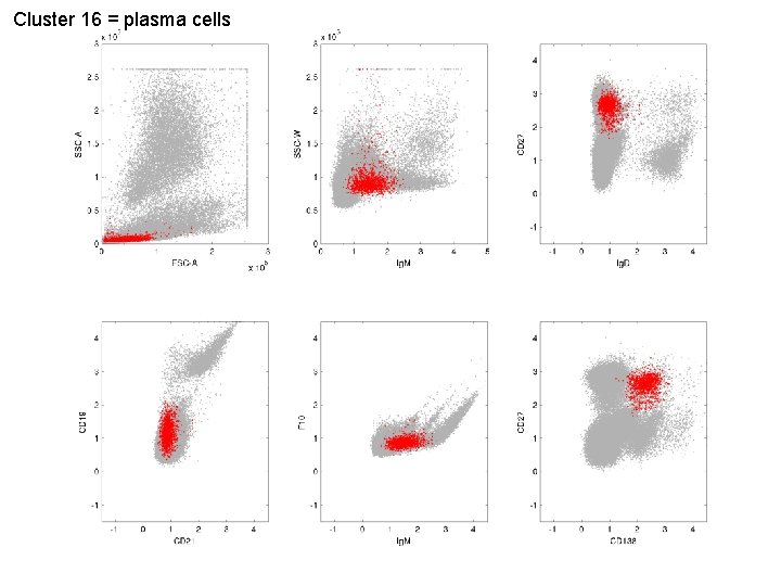 Cluster 16 = plasma cells 