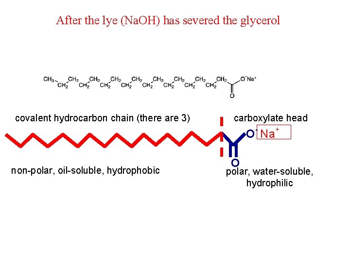 After the lye (Na. OH) has severed the glycerol covalent hydrocarbon chain (there are