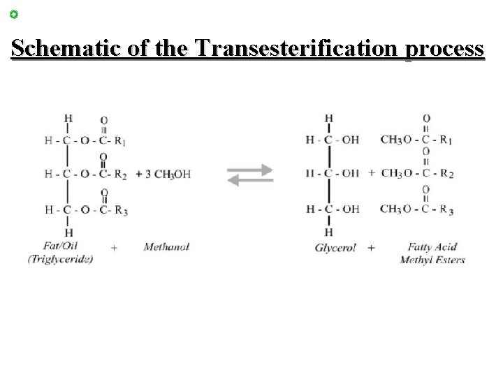 Schematic of the Transesterification process 