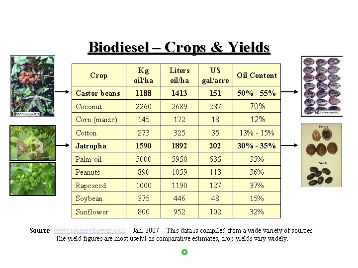 Biodiesel – Crops & Yields Crop Kg oil/ha Liters oil/ha US gal/acre Oil Content