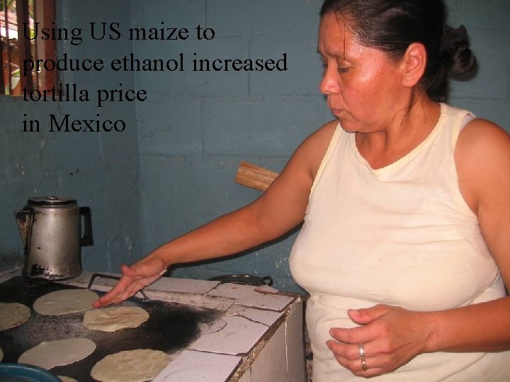Using US maize to produce ethanol increased tortilla price in Mexico 