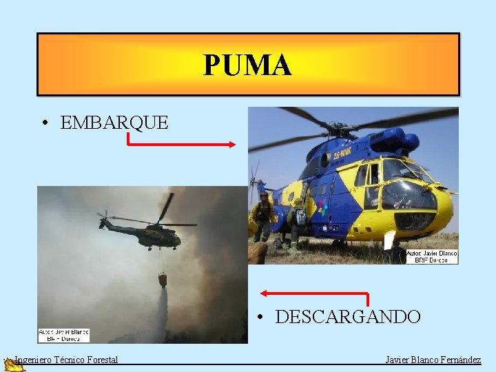 PUMA • EMBARQUE • DESCARGANDO Ingeniero Técnico Forestal Javier Blanco Fernández 