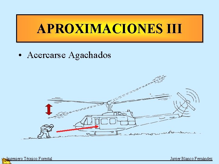 APROXIMACIONES III • Acercarse Agachados Ingeniero Técnico Forestal Javier Blanco Fernández 