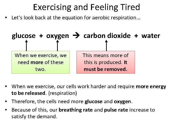 Exercising and Feeling Tired • Let’s look back at the equation for aerobic respiration…