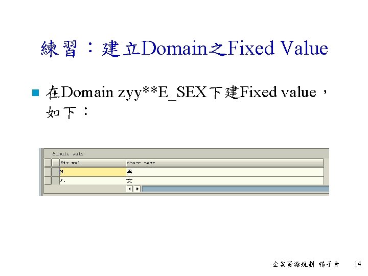 練習：建立Domain之Fixed Value n 在Domain zyy**E_SEX下建Fixed value， 如下： 企業資源規劃 楊子青 14 