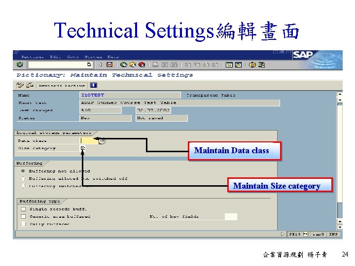 Technical Settings編輯畫面 Maintain Data class Maintain Size category 企業資源規劃 楊子青 24 