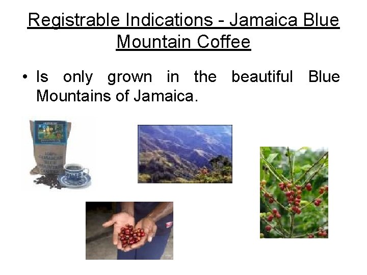 Registrable Indications - Jamaica Blue Mountain Coffee • Is only grown in the beautiful