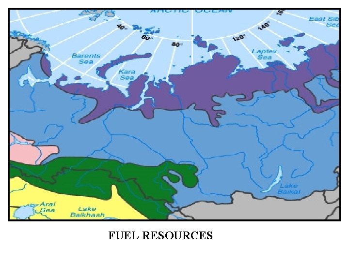 FUEL RESOURCES 