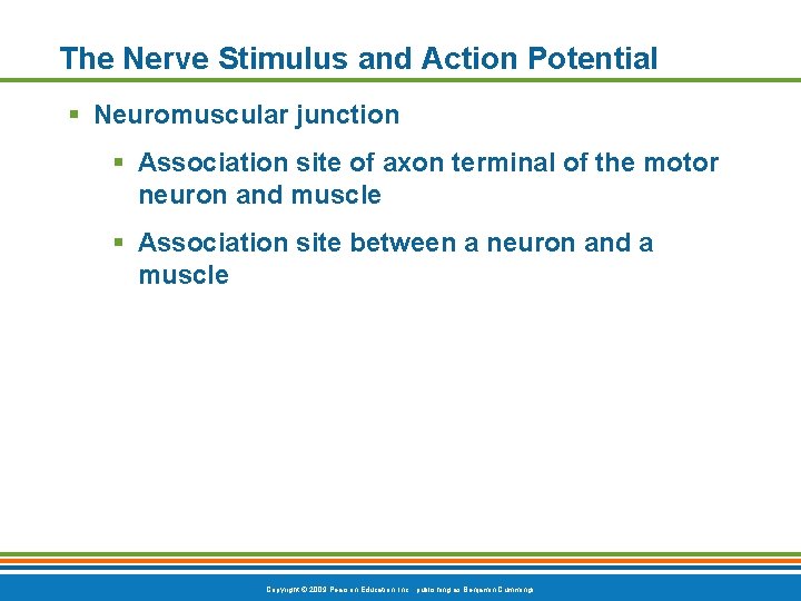 The Nerve Stimulus and Action Potential § Neuromuscular junction § Association site of axon