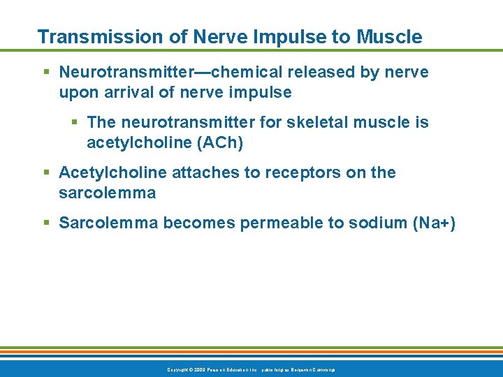 Transmission of Nerve Impulse to Muscle § Neurotransmitter—chemical released by nerve upon arrival of