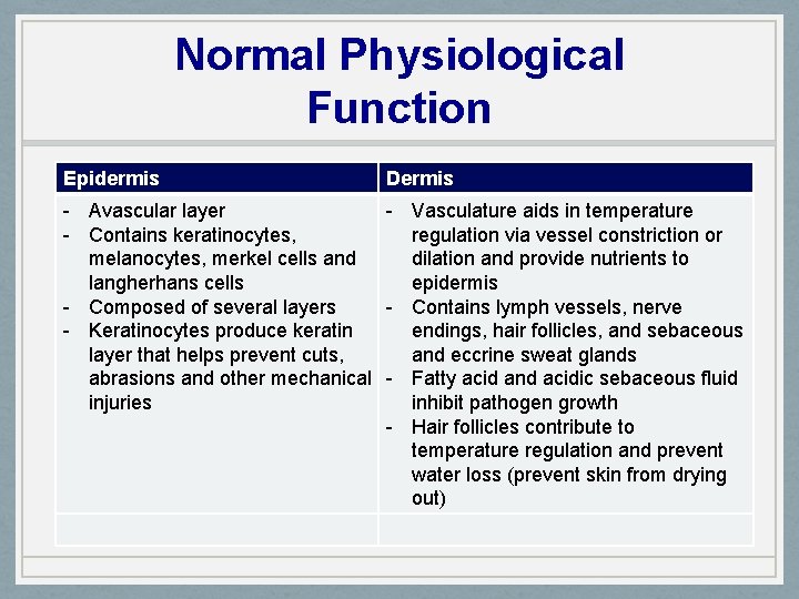 Normal Physiological Function Epidermis Dermis - Avascular layer - Vasculature aids in temperature -