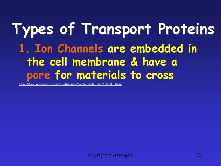 Types of Transport Proteins 1. Ion Channels are embedded in the cell membrane &