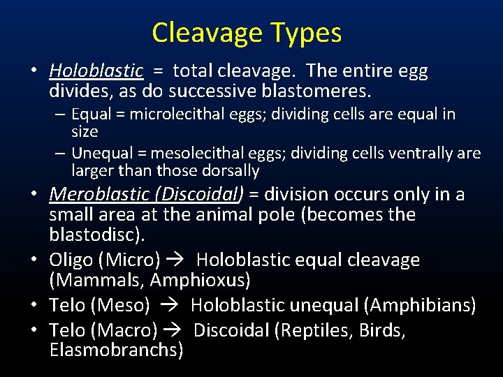 Cleavage Types • Holoblastic = total cleavage. The entire egg divides, as do successive