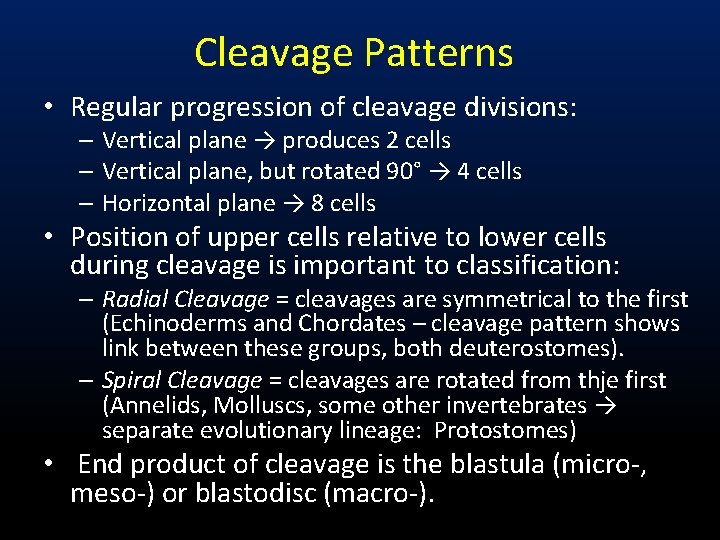 Cleavage Patterns • Regular progression of cleavage divisions: – Vertical plane → produces 2