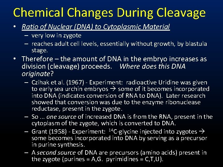 Chemical Changes During Cleavage • Ratio of Nuclear (DNA) to Cytoplasmic Material – very
