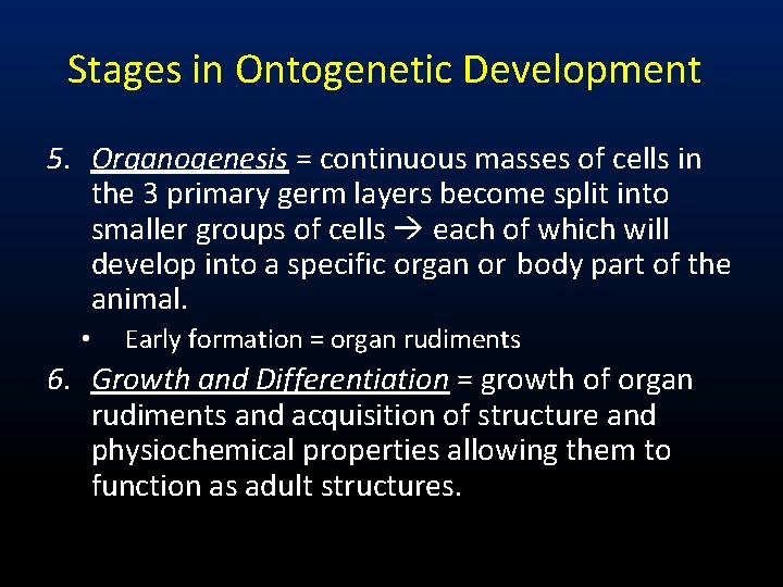 Stages in Ontogenetic Development 5. Organogenesis = continuous masses of cells in the 3