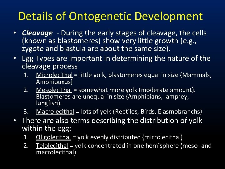 Details of Ontogenetic Development • Cleavage - During the early stages of cleavage, the