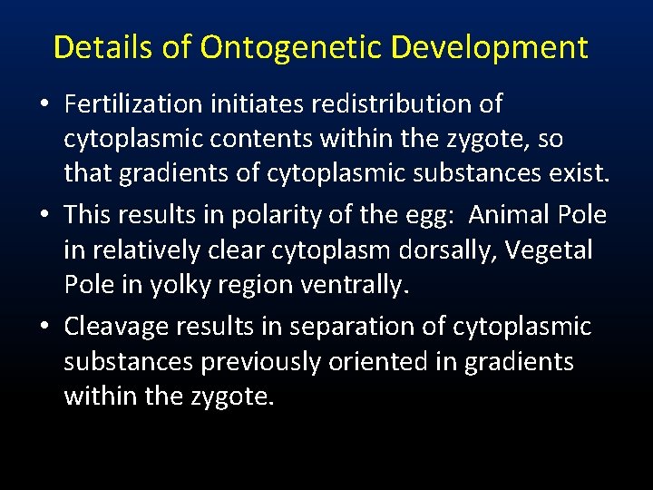 Details of Ontogenetic Development • Fertilization initiates redistribution of cytoplasmic contents within the zygote,