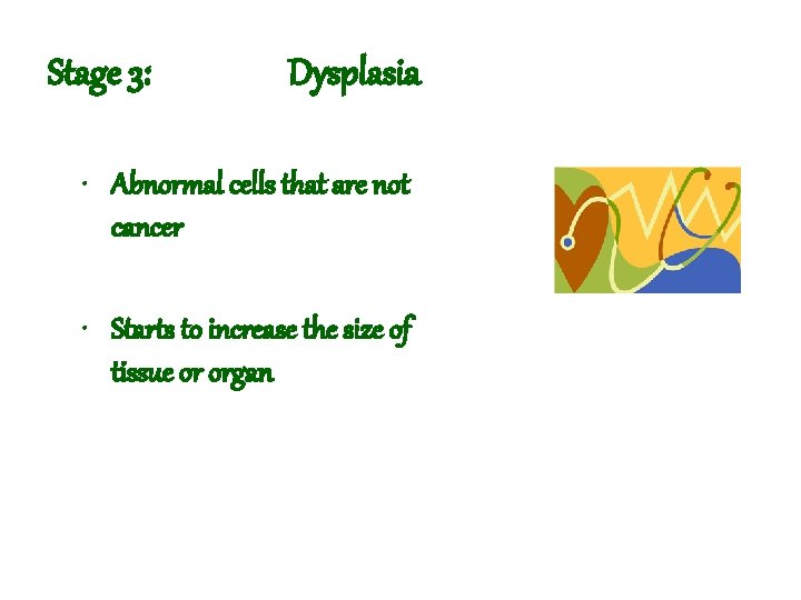 Stage 3: Dysplasia • Abnormal cells that are not cancer • Starts to increase