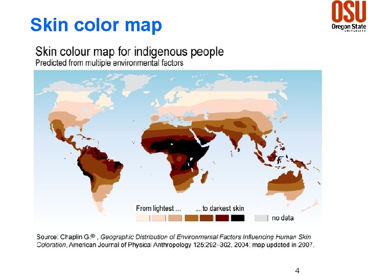 Skin color map 4 