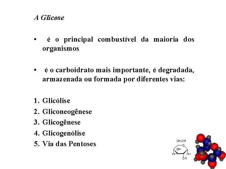 A Glicose • é o principal combustível da maioria dos organismos • é o