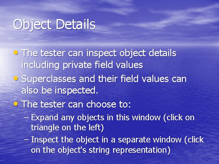 Object Details • The tester can inspect object details including private field values •