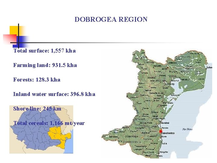 DOBROGEA REGION Total surface: 1, 557 kha Farming land: 931. 5 kha Forests: 128.