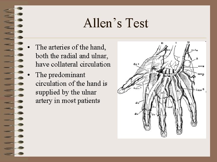 Allen’s Test • The arteries of the hand, both the radial and ulnar, have