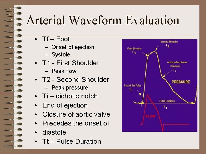 Arterial Waveform Evaluation • Tf – Foot – Onset of ejection – Systole •