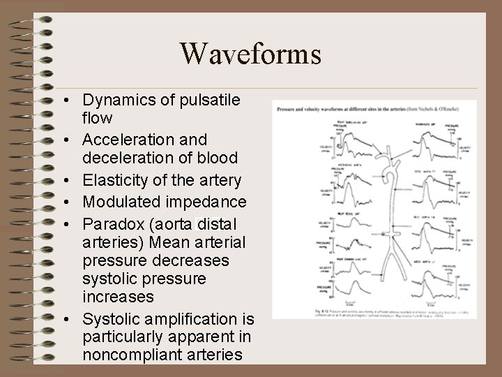 Waveforms • Dynamics of pulsatile flow • Acceleration and deceleration of blood • Elasticity