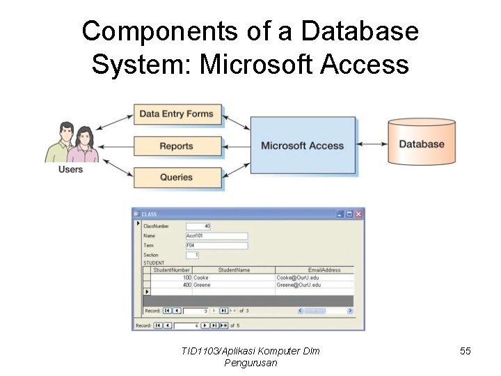 Components of a Database System: Microsoft Access TID 1103/Aplikasi Komputer Dlm Pengurusan 55 